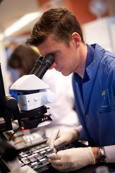 Microscopy at the Bench           (Photo: John Loper)